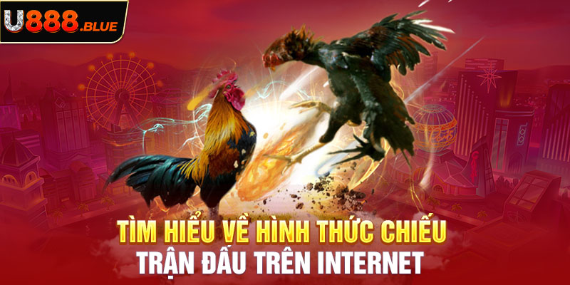 Tìm hiểu về hình thức chiếu trận đấu trên internet