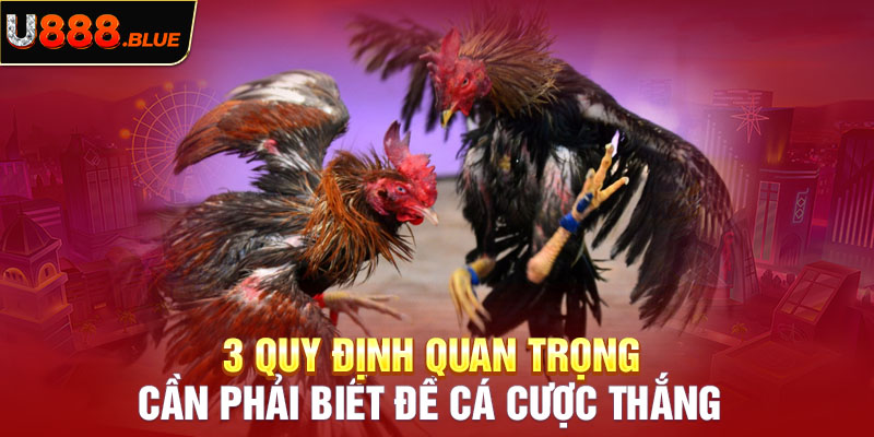 3 quy định quan trọng cần phải biết để cá cược thắng