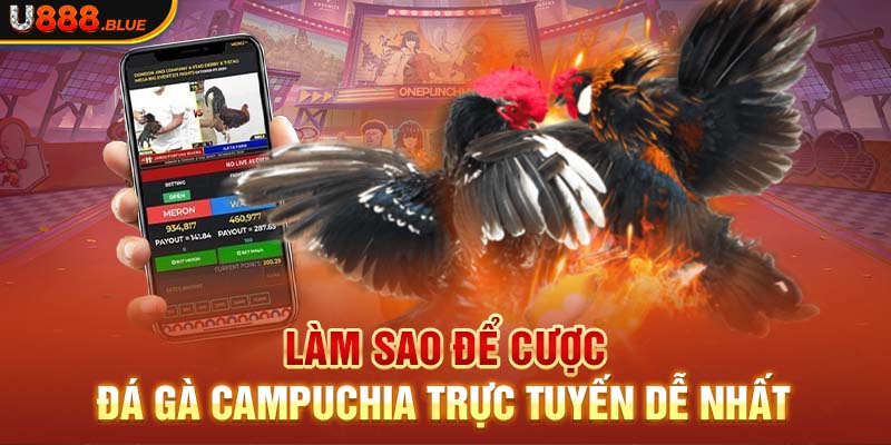 Làm sao để cược đá gà Campuchia trực tuyến dễ nhất