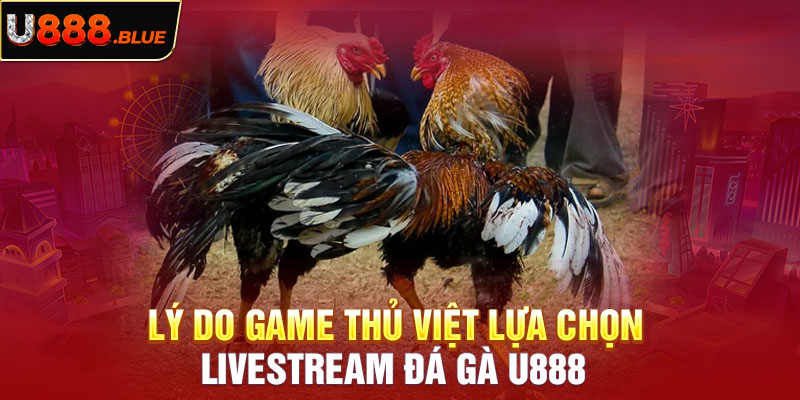 Lý do game thủ Việt lựa chọn livestream đá gà U888