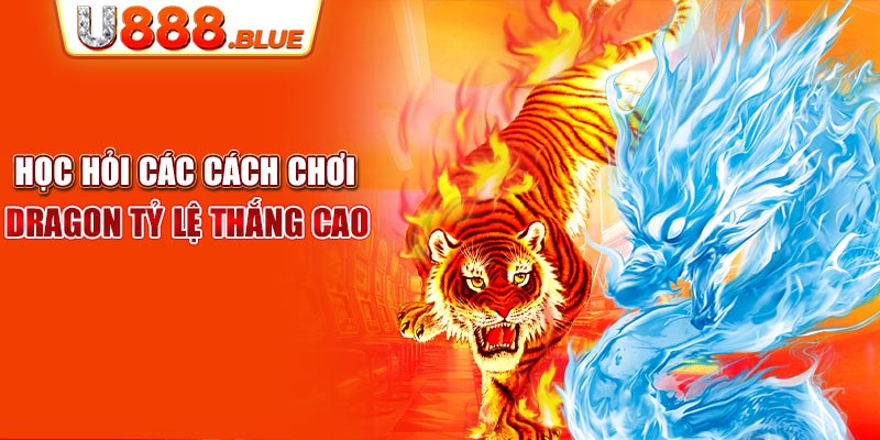 Học hỏi các cách chơi Dragon tỷ lệ thắng cao