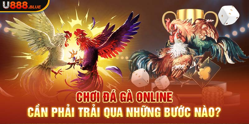 Chơi đá gà online cần phải trải qua những bước nào?