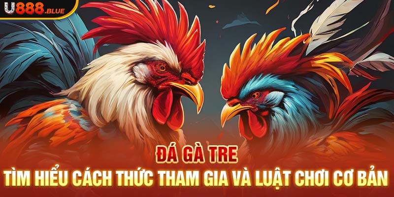 Đá Gà Tre - Tìm Hiểu Cách Thức Tham Gia Và Luật Chơi Cơ Bản