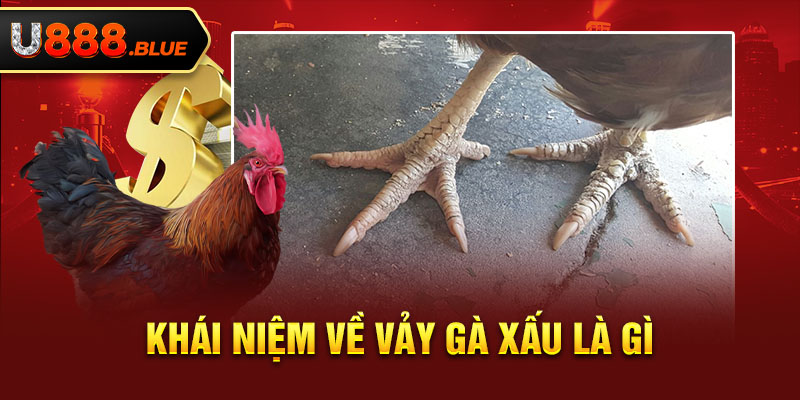 Khái niệm về vảy gà xấu là gì