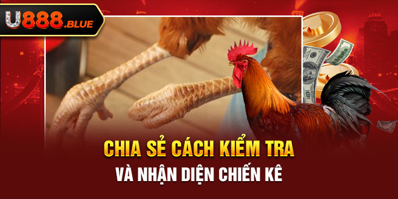 Chia sẻ cách kiểm tra và nhận diện chiến kê