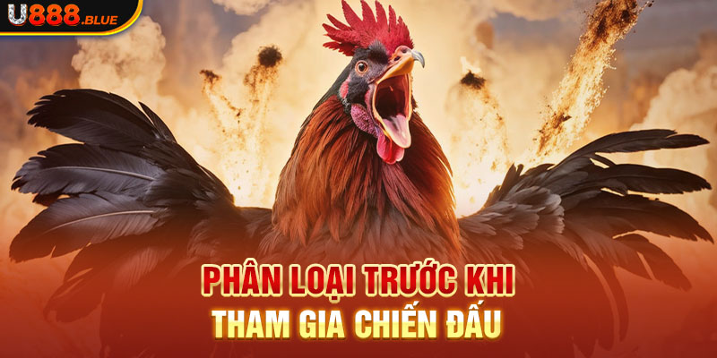 Phân loại trước khi tham gia chiến đấu